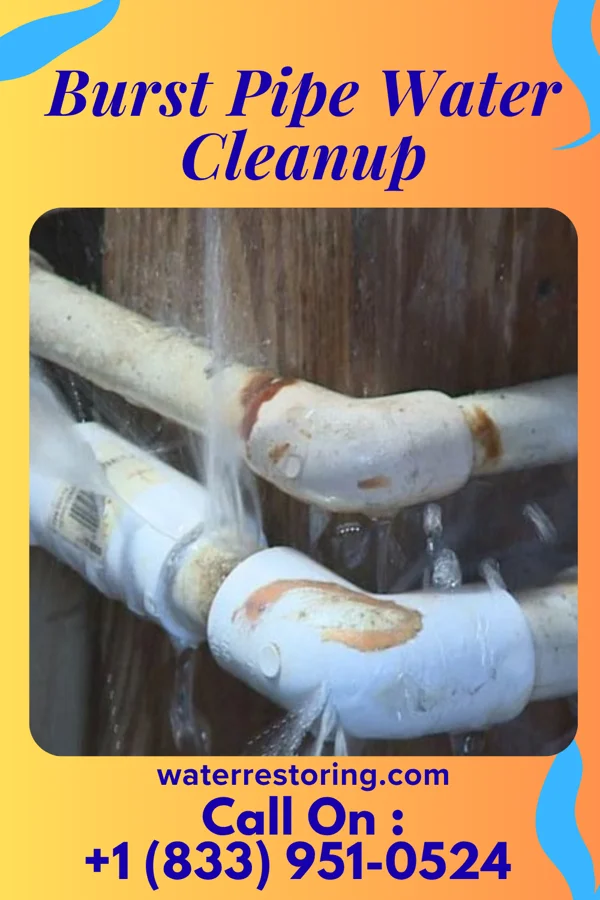 Burst Pipe Water Cleanup in Alfred, TX