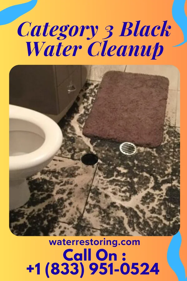 Category 3 Black Water Cleanup in Alfred, TX
