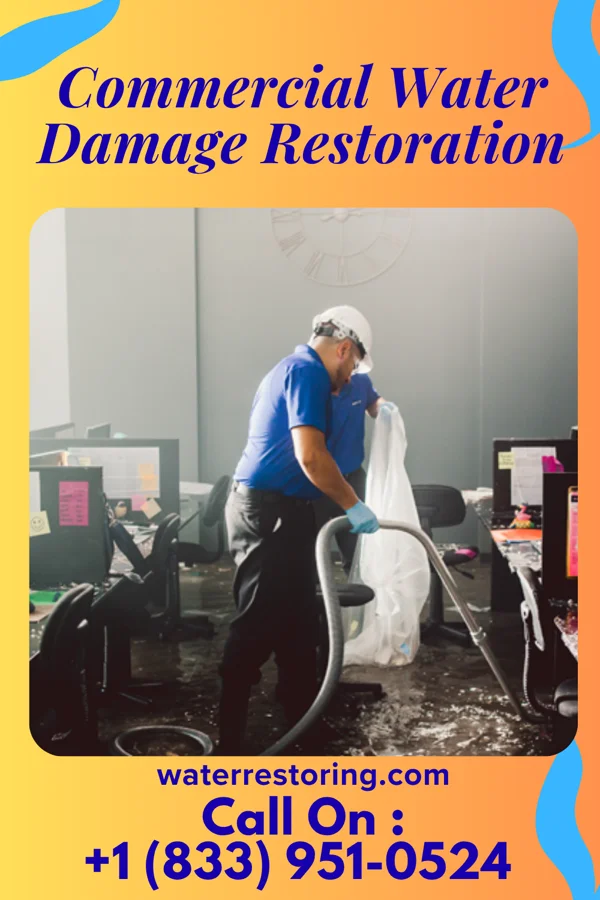 Commercial Water Damage Restoration in Alfred, TX