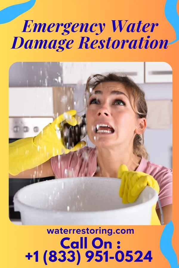Emergency Water Damage Restoration in Alfred, TX