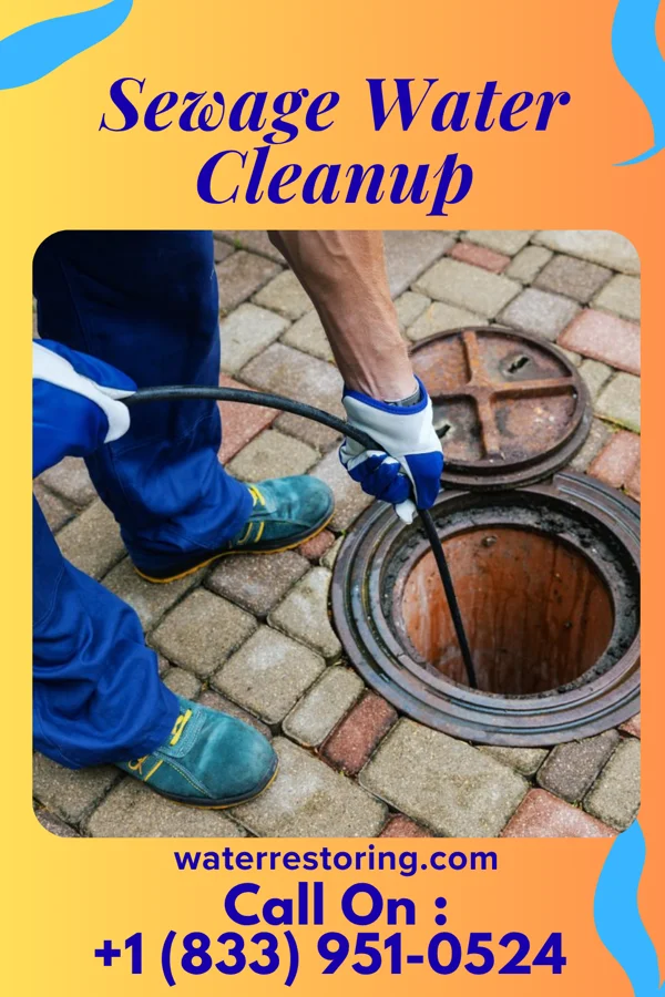 Sewage Water Cleanup in Alfred, TX