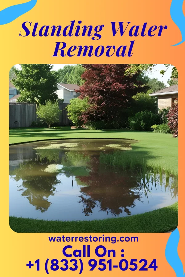 Standing Water Removal in Alfred, TX